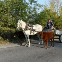 На дороге в Шиндиси.