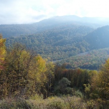 По дороге в Кахетию.